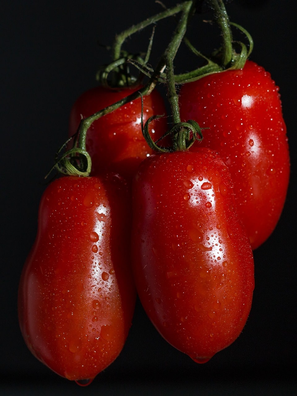 what are san marzano tomatoes